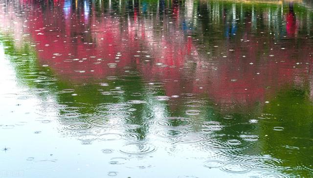 「散文」春雨 春雨