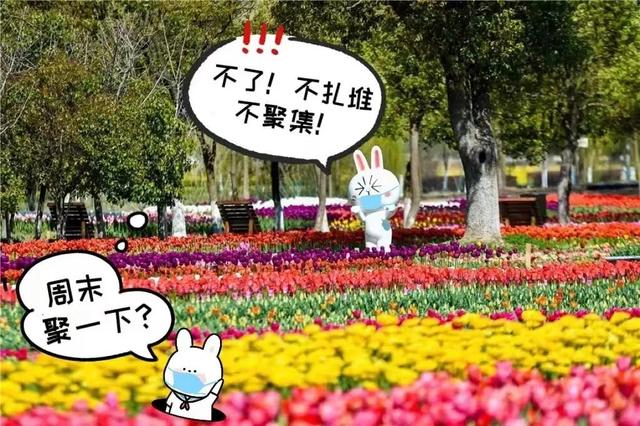 做人良心最贵