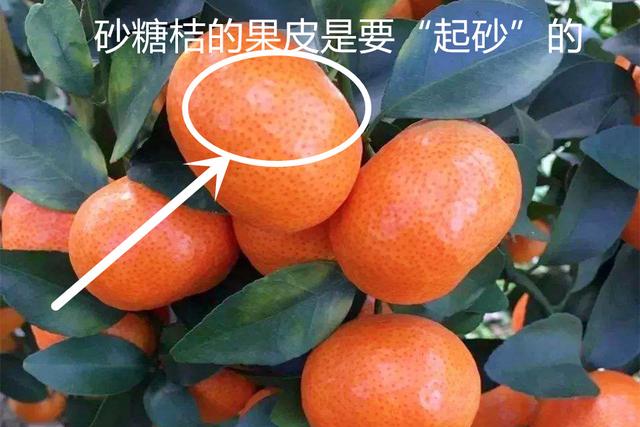 抚州制砂机出售