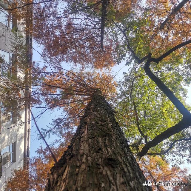 大晚上被孩子惩罚关厕所不让出来