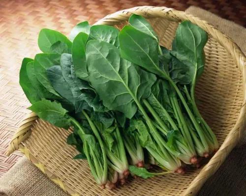 年龄大了要管住嘴，少吃3样，多吃2样，别不当回事，要懂得忌口