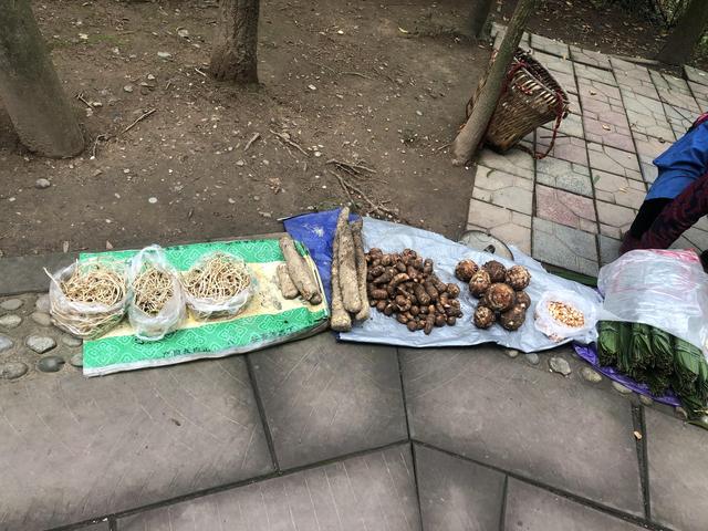 一不小心又成了夜遊~周末街子古鎮康道徒步到光嚴禅院~腳都走麻了
