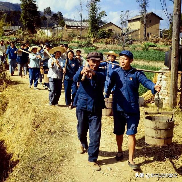 粮食安全重要，粮食价格却不重要，难道农民就不配赚钱吗？