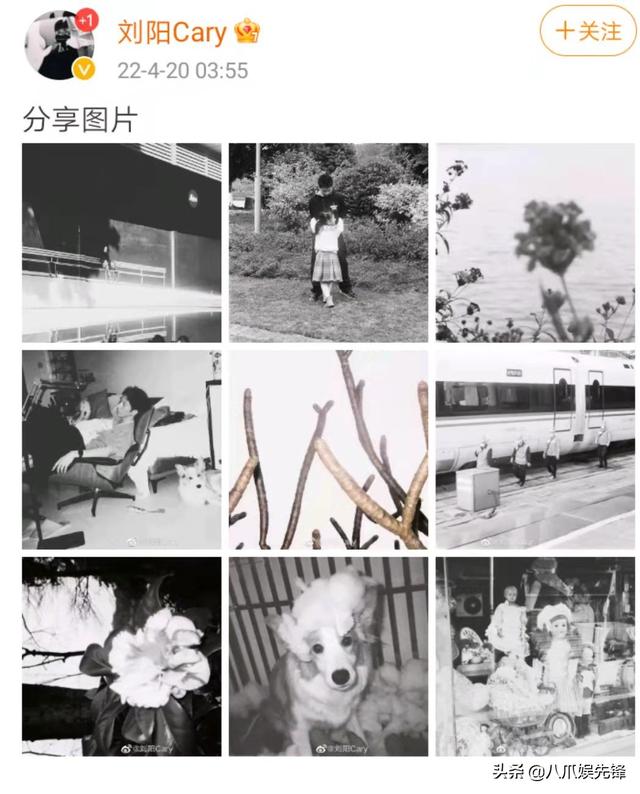 刘阳发动态疑似准备复出，半藏森林冲上热搜，阿沁迅速回应很真实