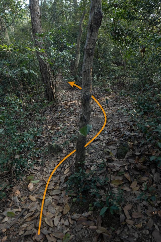杭州登山徒步路線17：野路有趣，但不建議盲目去爬