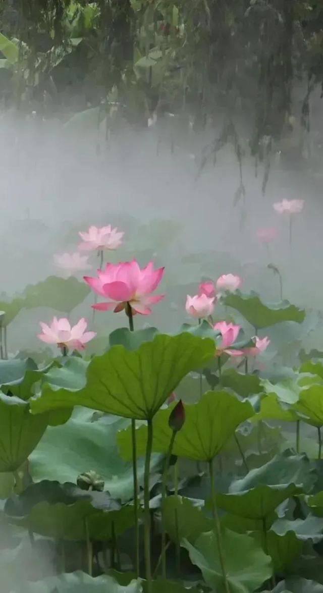 老祖宗留下千古不变的道理，有福不用忙、无福跑断肠