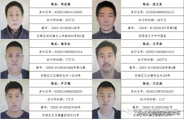 曝光! 武都区法院公布2022年第一批失信被执行人名单（172人）