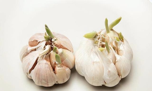 花生是糖尿病“导火索”？提醒：若想胰岛强壮，2种食物或早忌口