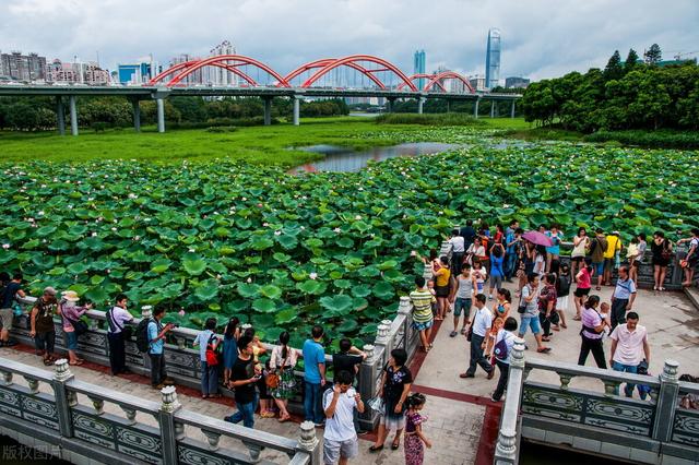 深圳8個免費旅行景點，你去過幾個？