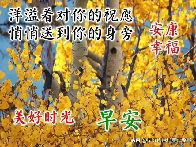 早上起床最火爆的励志早安心灵鸡汤语录，励志心灵鸡汤分享