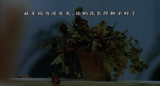 被骂叛国艺人，他才是娱乐圈第一猛士