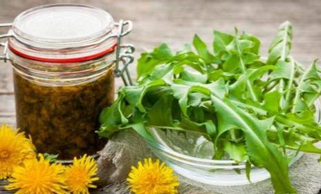 中药又立功？蒲公英可消灭98%癌细胞、消结节？看完您就清楚了