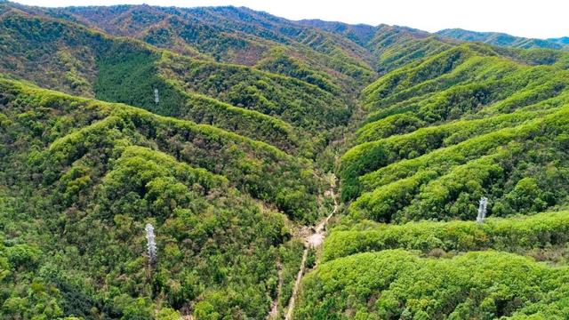 从极寒之城到沙漠深处，我国在野外布局一张大网→