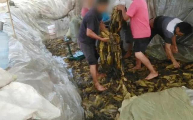 央视3.15曝光“脚皮酸菜”，还有这些不合格的老品牌，真让人寒心