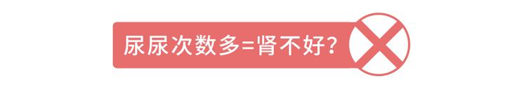 多功能过滤机加盟好不好