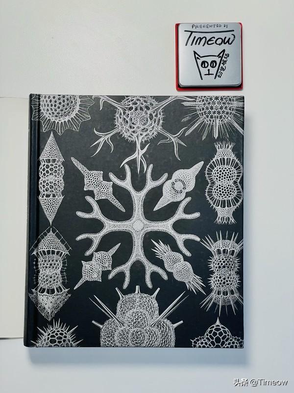 与娃共读-盘一盘半年内买过的好绘本