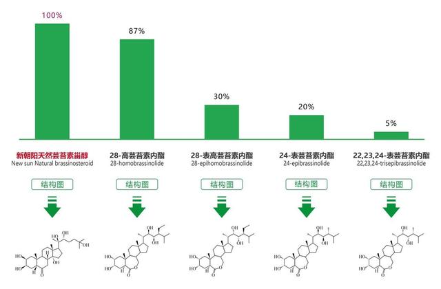 五大类芸苔素市场竞争，谁将最终引领行业发展？2