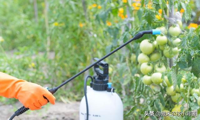 哪几种情况容易造成作物发生植物生长调节剂药害？注意这7点4