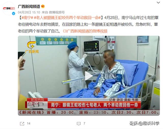 扔石头惹怒眼镜王蛇！七旬老伯被追咬，两招捡回一命，医生：万幸