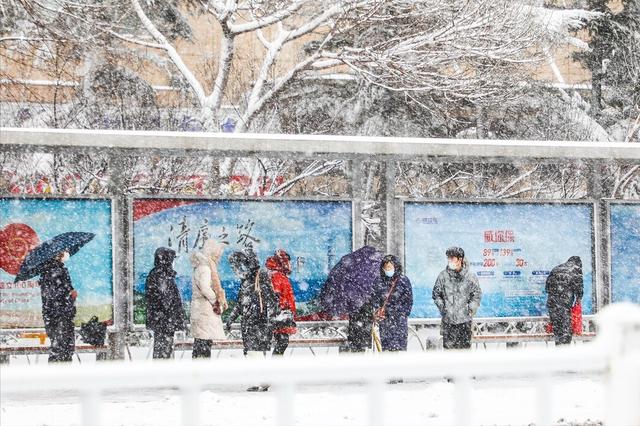 寒潮来了，记得多吃“3白”和“3黑”，适合天冷补身体，安稳过冬