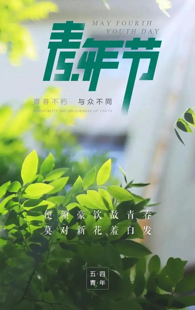 「五四青年节文案」鲜花，向阳盛开；青年，向上生长