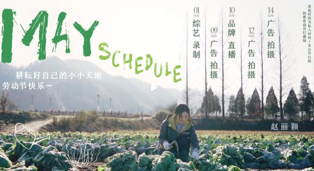 赵丽颖被造谣偷税，树大招风遭人嫉妒？细看她的资产确实被惊到了