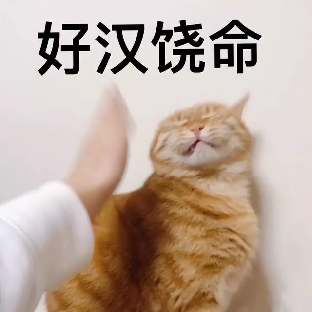 在单位有个靠山太重要了，那如果你没有靠山呢？