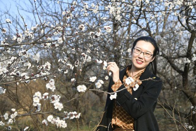 苍马山红杏枝头春意闹