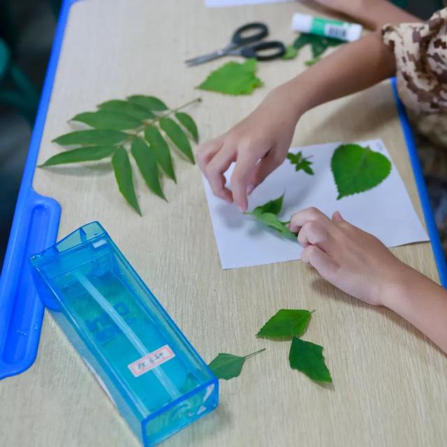 少年特训学校(少年特训学校费用)(图28)