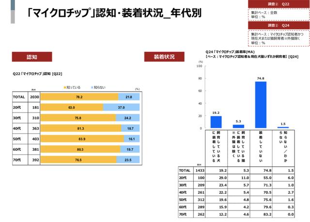 宠物狗市场