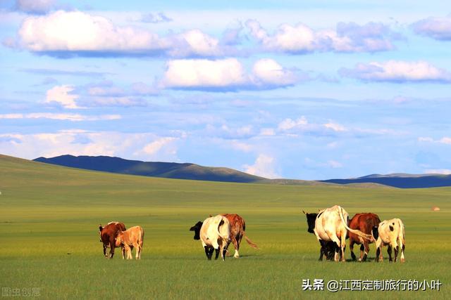 自驾去呼伦贝尔大草原注意什么（呼伦贝尔旅游攻略）(41)