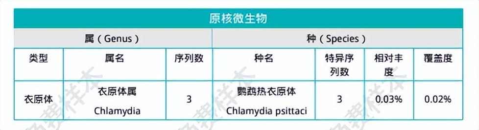 老人突发头晕、乏力、高烧不退，医生揪出真凶竟是一只鸽子？