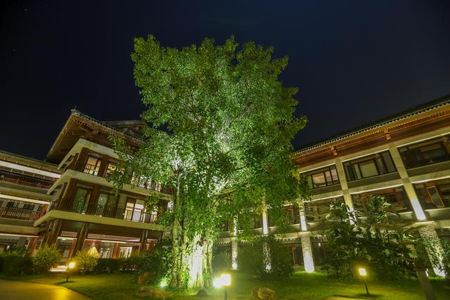 廣東旅行，發現一座禅修酒店，造型像古代宮殿，建築大有來頭