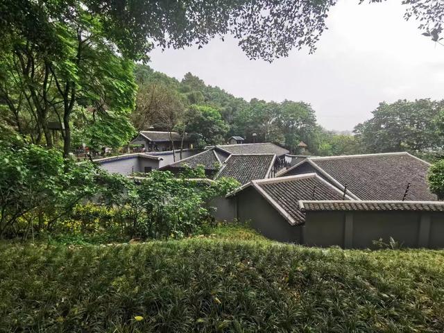 打开第六天，收益又接近翻倍，感谢头条君