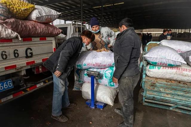 图赏 | 叶城:摄影促交流,图像展新貌