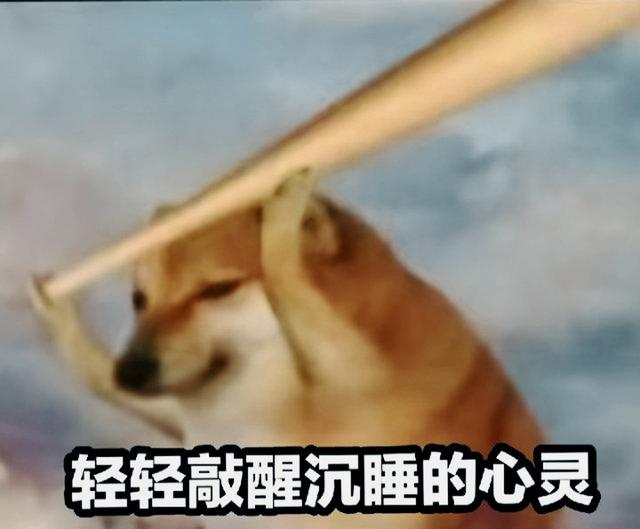女生无奈是什么意思啊
