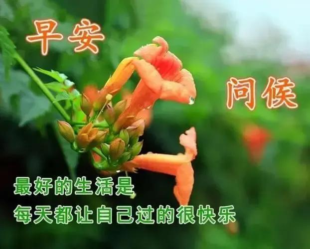 2022.3.19你好！早安