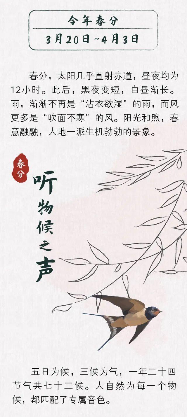 春分：我把春天放进你的耳朵里了