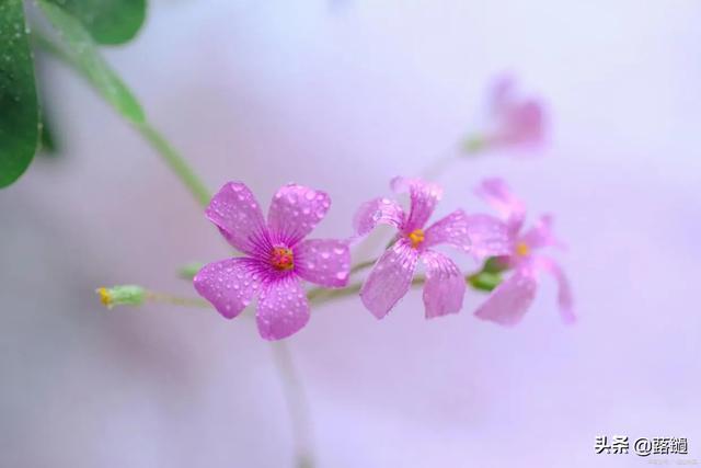 感恩岁月，感谢自己