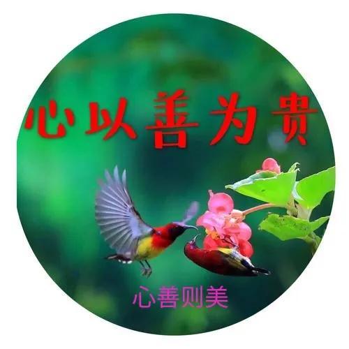 你要相信，好运总会眷顾心善的人