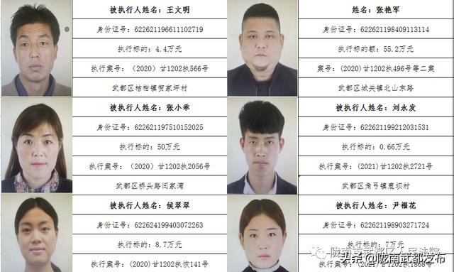 曝光! 武都区法院公布2022年第一批失信被执行人名单（172人）