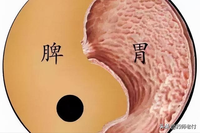 养肾就是养命根，这里告诉你关于养肾的最全知识，建议收藏