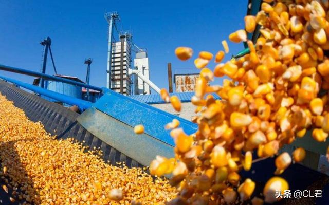 国际粮价动荡，玉米、豆粕价格疯涨，猪价飘红，物价开始上涨？