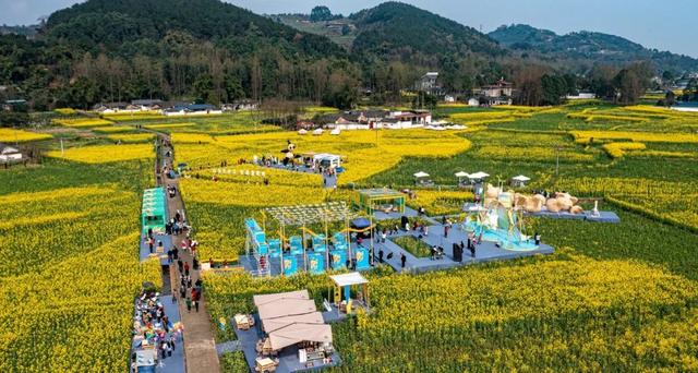 崇州田园花海“诗”会，等你来