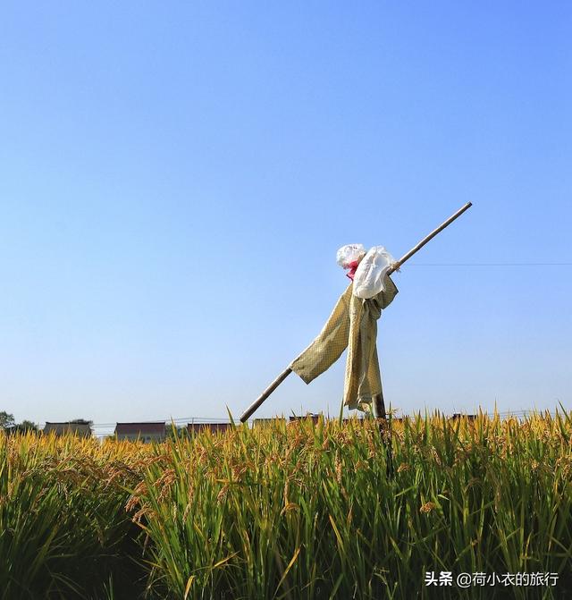 中國最適合北方人過冬的4座城市，空氣好風景佳美食多，適合養老