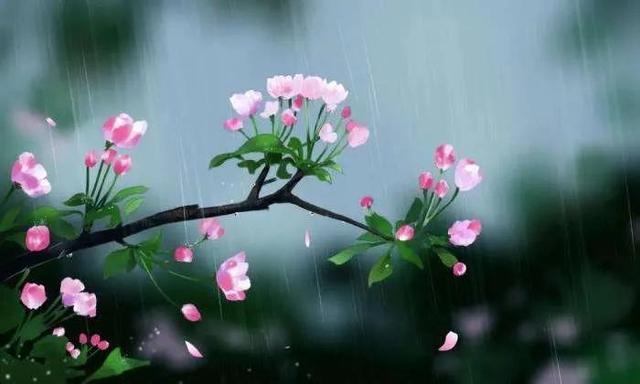 「散文」春雨 春雨