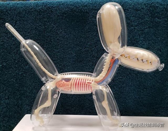 50个奇葩玩具可能不适合给孩子玩