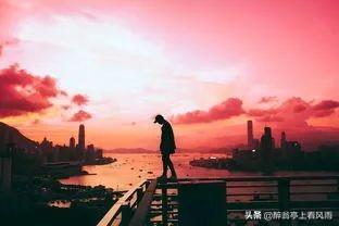 人和人之间，不过是一场以心换心