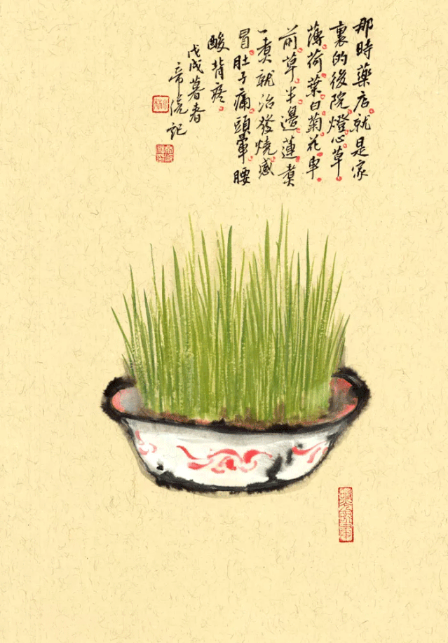 时光，我一直在
