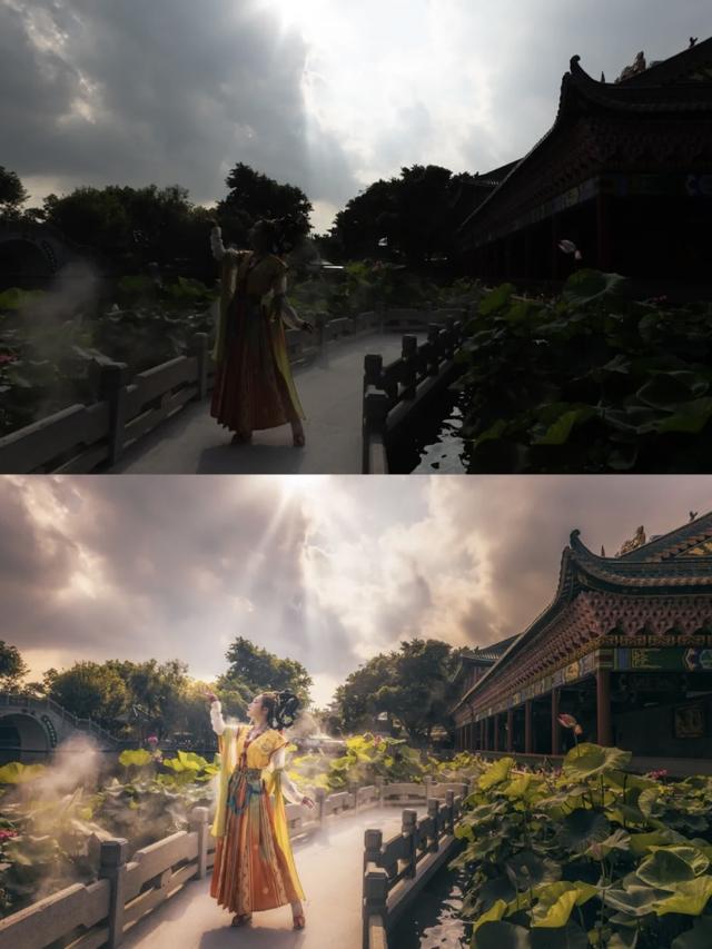 一篇文章告诉你，手机到底超没超越相机，他们的差距究竟在哪里？